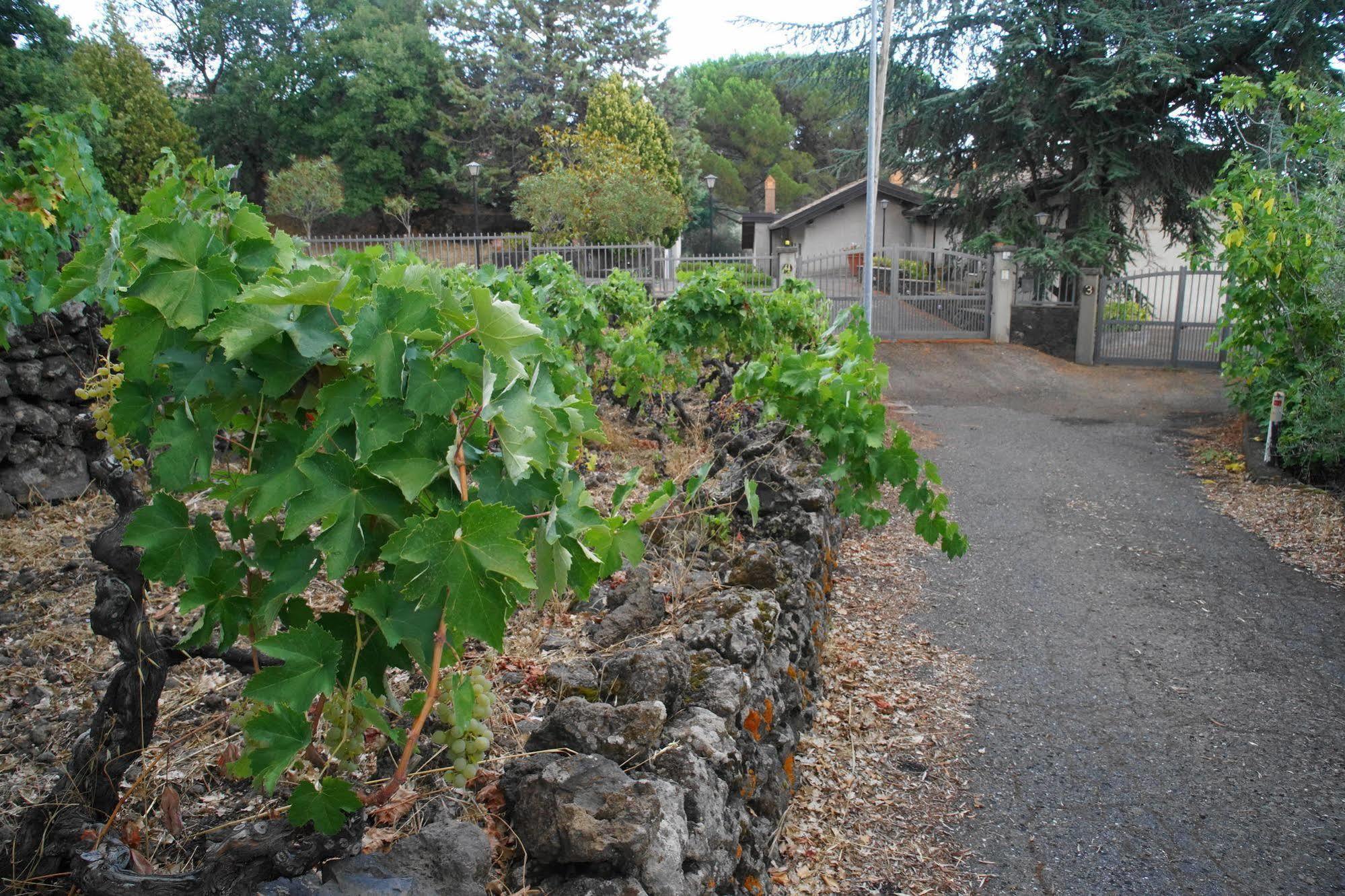 فيلا Etna Paradise Locazioni Brevi Ragalna المظهر الخارجي الصورة